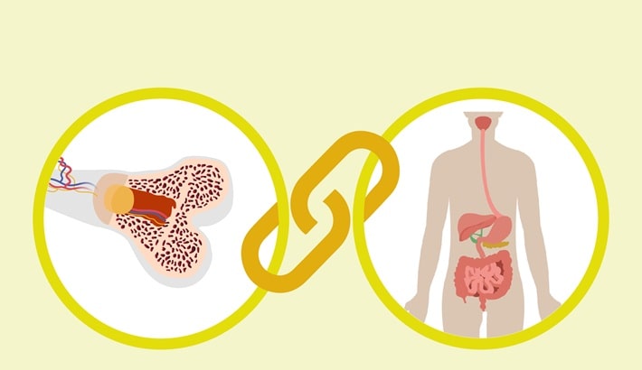 تراکم استخوان | بیماری‌های گوارشی